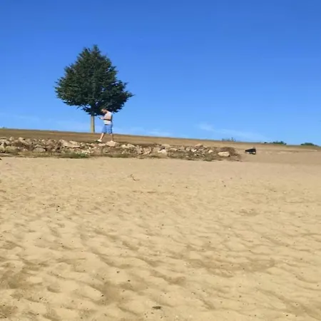 Tiny House In Netherlands With Garden Vakantiehuis
