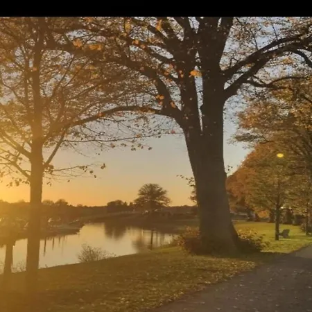 Vakantiehuis Tiny House In Netherlands With Garden Lathum