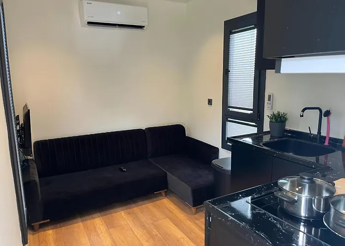 Tatil Evi Tiny House In Netherlands With Garden Lathum