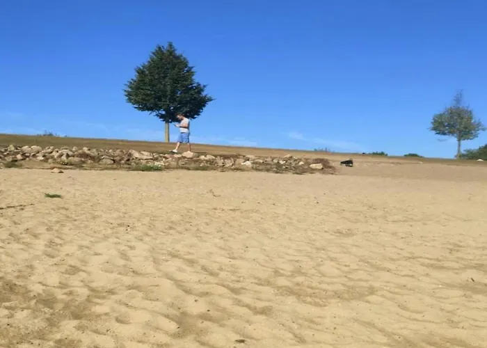 Tiny House In Netherlands With Garden Tatil Evi