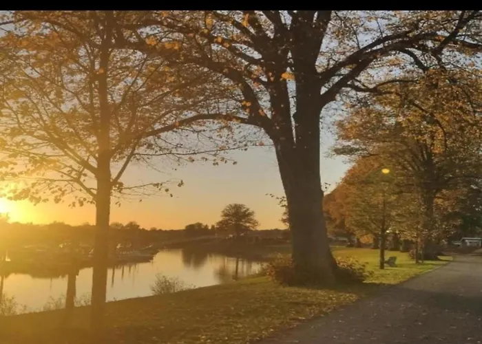 Tatil Evi Tiny House In Netherlands With Garden Lathum
