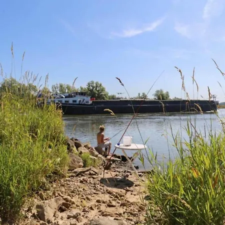 Tiny House In Netherlands With Garden