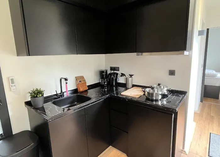 Tiny House In Netherlands With Garden