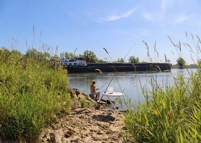Tiny House In Netherlands With Garden